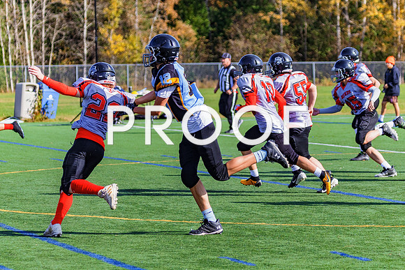 FBall-8388