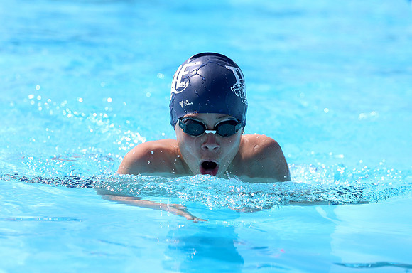 Swim 15