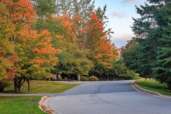 Q-Fall 1-1354 Near Legend Lane