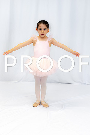 Ballet Ind-5085