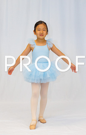 Ballet Ind-5499