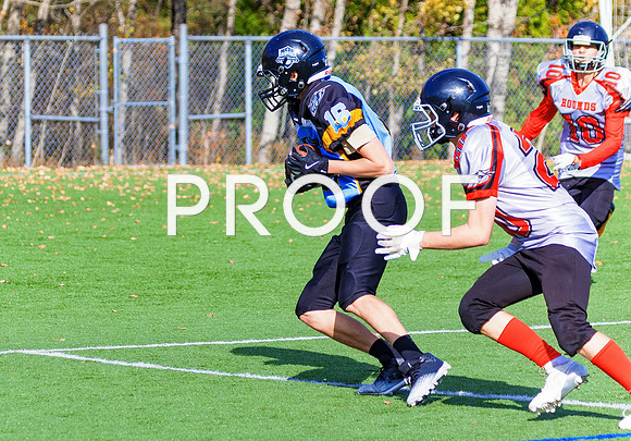 FBall-8266