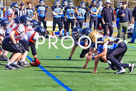FBall-8232