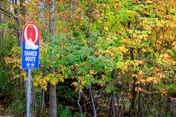 Q-Fall 1-1262 Neck Road