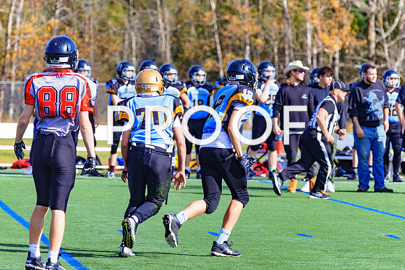 FBall-8233