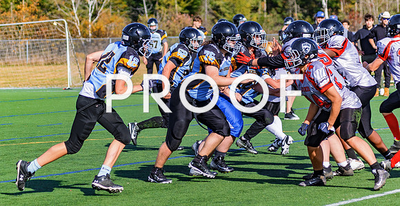 FBall-8452