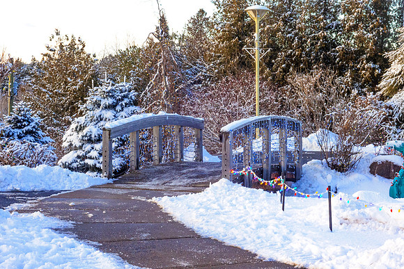 Quis-Dec2024-8829