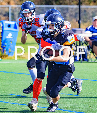 FBall-8239