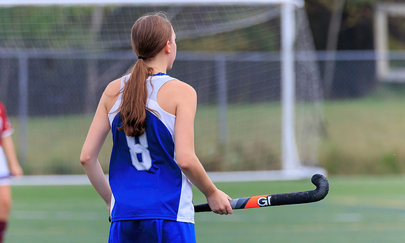 FHockKV-35842