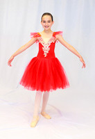 Ballet Ind-5325