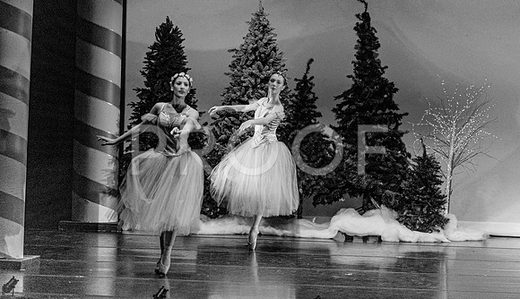 Nutcracker24-1197