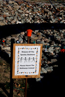 P06A5529