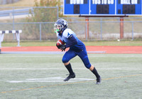 SJ FALCONS