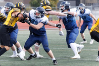 P06A3149