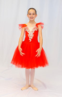 Ballet Ind-5316