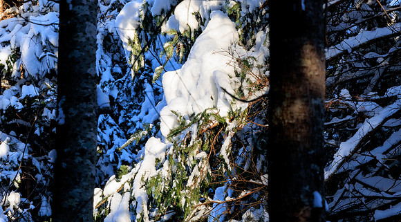 untitled-9749