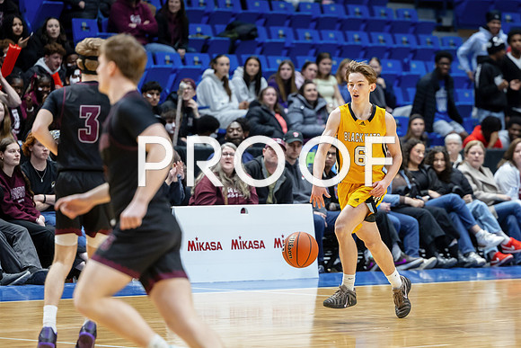 P06A1763
