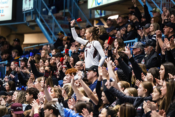 P06A8803