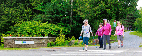 Quis -8370-2