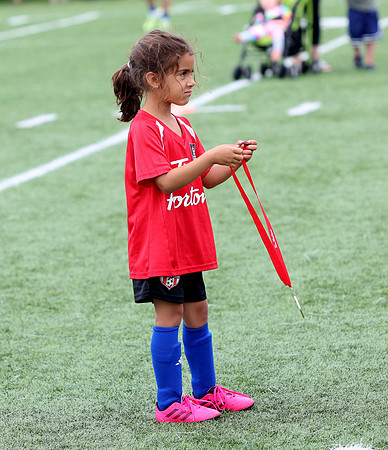 SJ 26