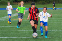 SJ U13G-1241
