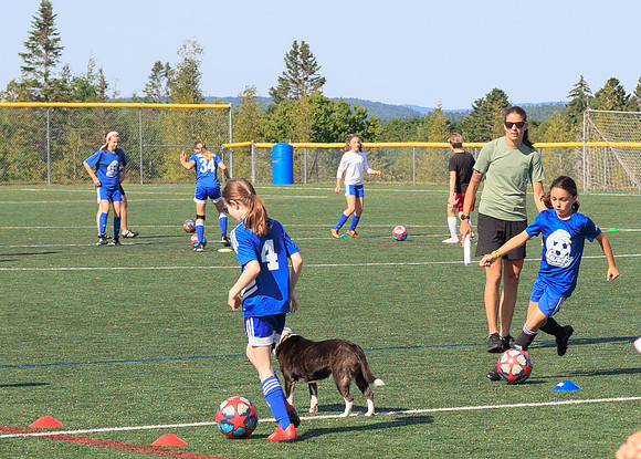 Fundy -  Labbe-8339