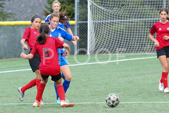 Fundy vs Chaleur U13-0842