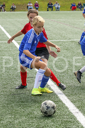 Fundy vs Chaleur U13-0882