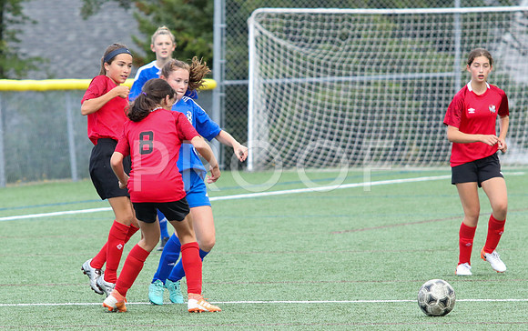 Fundy vs Chaleur U13-0843
