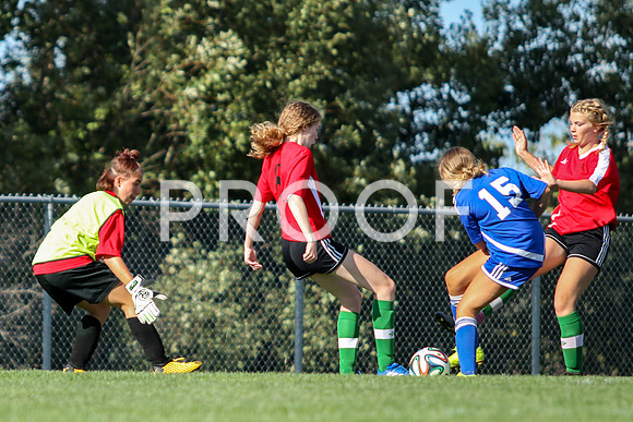 U15 Fundy -9029