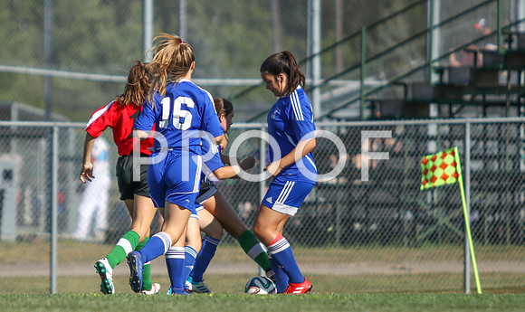 U15 Fundy -9018