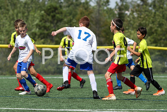 U12 Boys Fundy -9553