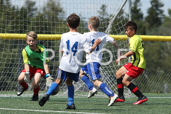 U12 Boys Fundy -9597