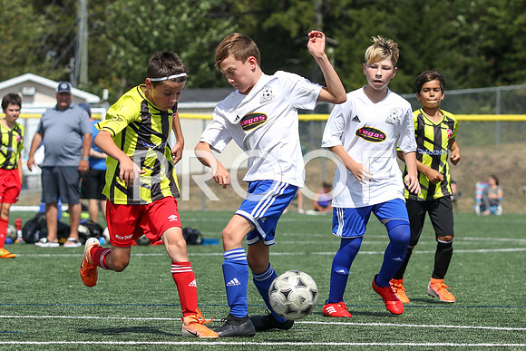 U12 Boys Fundy -9572