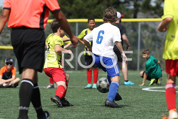 U12 Boys Fundy -9585