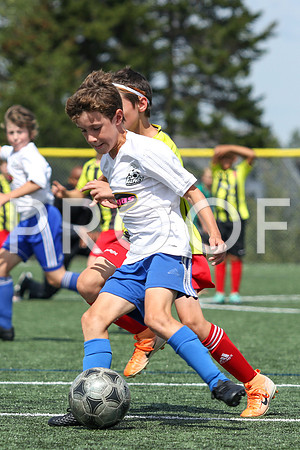 U12 Boys Fundy -9577