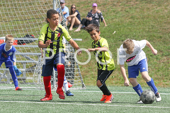 U12 Boys Fundy -9533