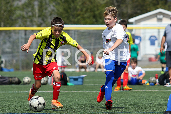 U12 Boys Fundy -9569