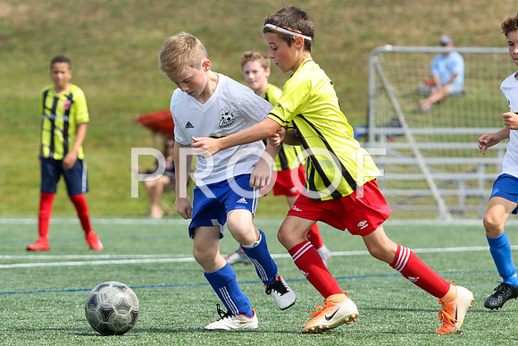 U12 Boys Fundy -9652