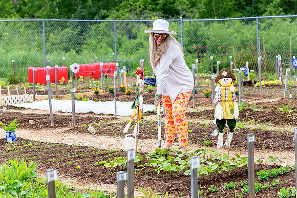Quis -8535