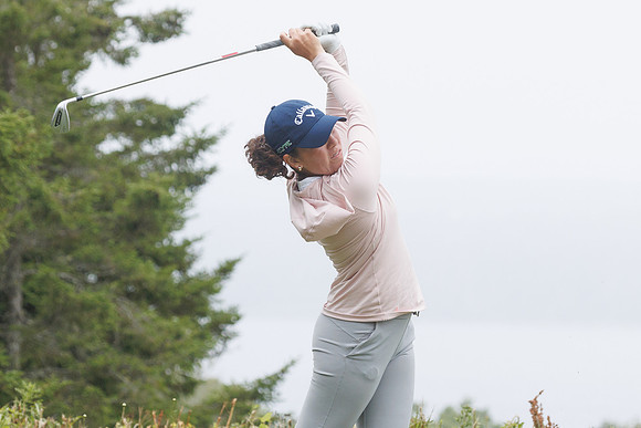 P06A3528