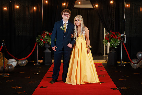 KV Prom-1131