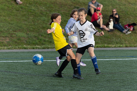 U11U15 G-6954
