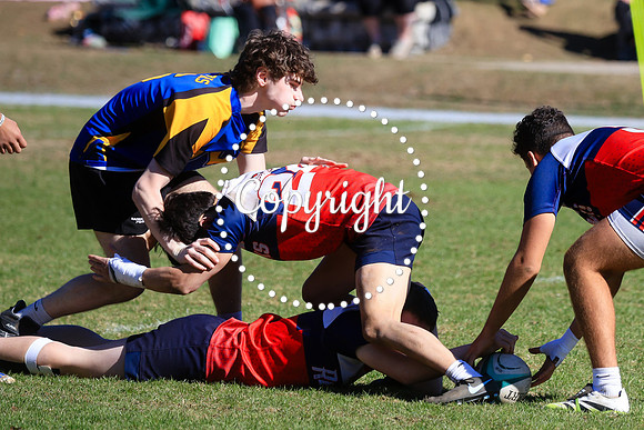 P06A1796