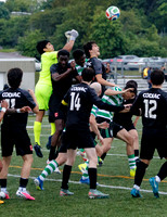 Shamrock vs Codiac