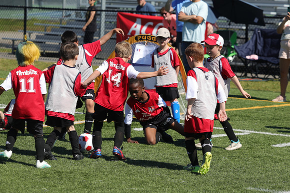 P06A6737
