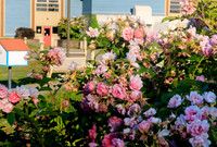 P06A8695