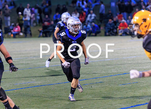 KVHSvFHS-46342Fl-Motion