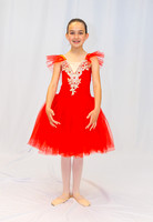 Ballet Ind-5317