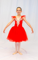 Ballet Ind-5318